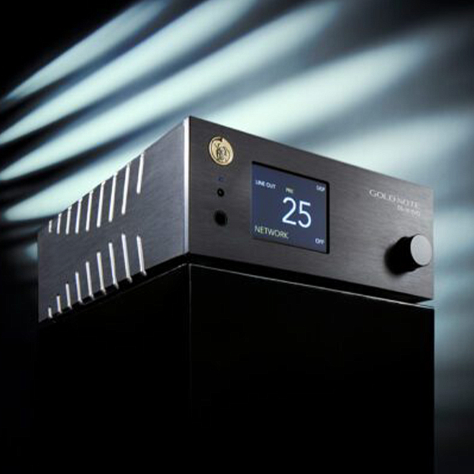 Сетевой аудиоплеер Gold Note DS-10 Evo Line Gold - рис.3