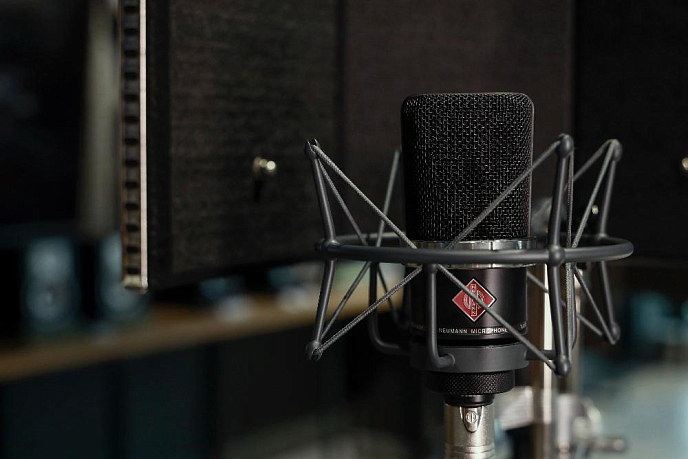Микрофон студийный Neumann TLM 102 BK StudioSet - рис.7