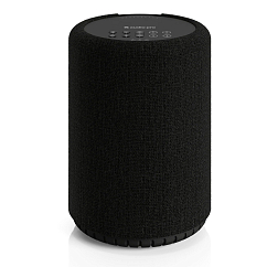 Портативная колонка Audio Pro A10 MKII Black
