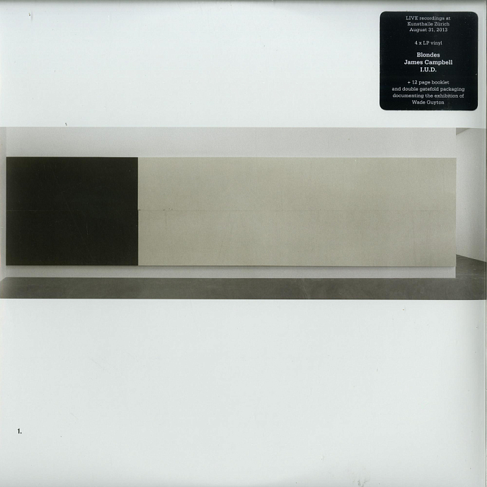 Виниловая пластинка Blondes, James Campbell, I.U.D. – Wade Guyton Kunsthalle Zurich - 4LP - рис.2