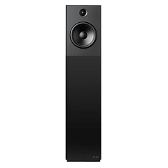 Напольная акустика Guru 20 Satin Black