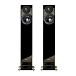 Напольная акустика PMC Active twenty5 23i Black Diamond - рис.0