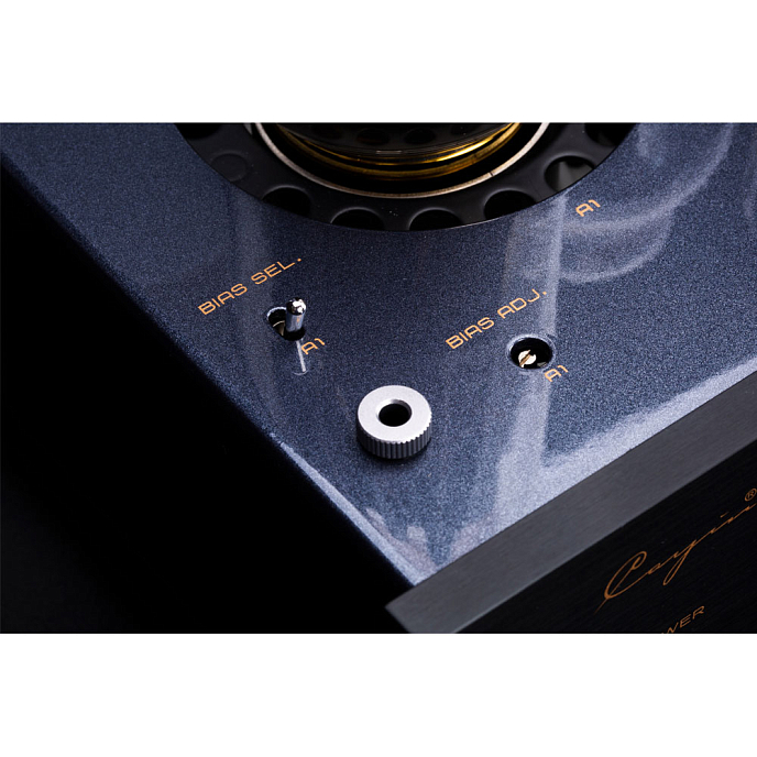 Интегральный усилитель Cayin CS-805A Silver - рис.8