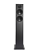 Портативная колонка Audio Pro Addon T20 Black - рис.1