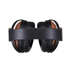 Наушники полноразмерные Fostex TH808 Wood