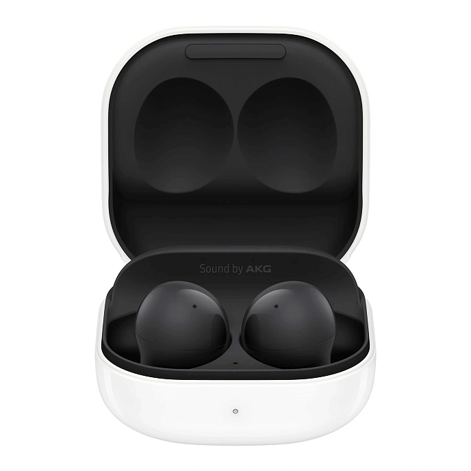 Беспроводные наушники Samsung Galaxy Buds2 Graphite - рис.0