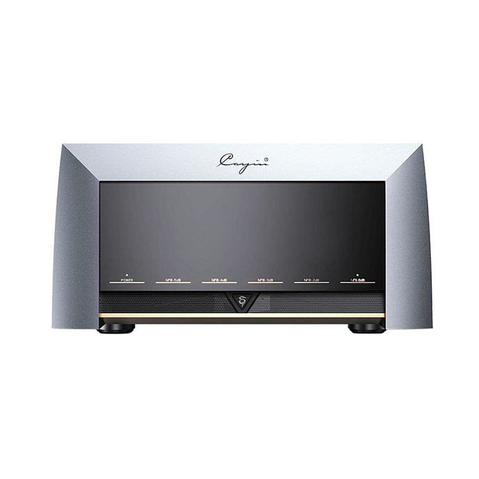 Усилитель мощности Cayin M-845D - рис.1