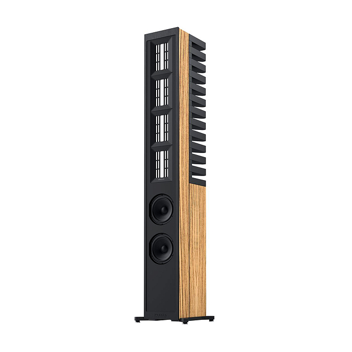 Напольная акустика Piega Master Line Source 3 Zebrano - рис.1
