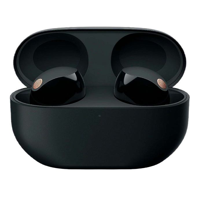 Беспроводные наушники Sony WF-1000XM5 Black - рис.0