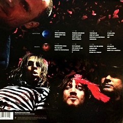 Пластинка Red Hot Chili Peppers – Stadium Arcadium Box Set 4LP