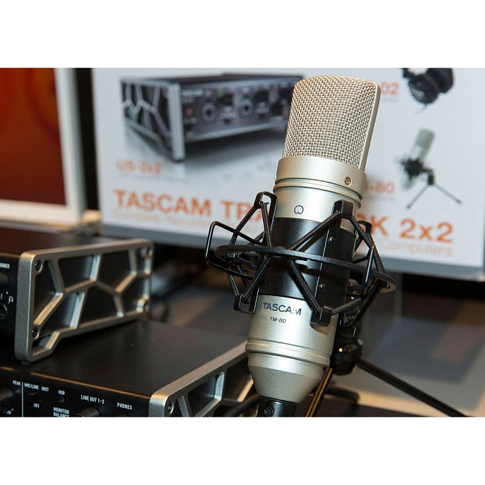 Микрофон студийный Tascam TM-80 - рис.5