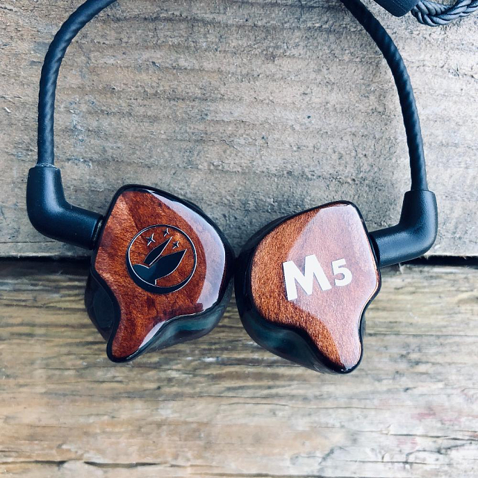 Кастомные наушники FiR Audio M5 Custom Colorless - рис.19