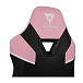 Компьютерное кресло ThunderX3 TC5 MAX Sakura Black - рис.10