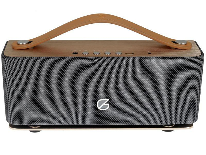 Портативная колонка GZ Electronics LoftSound GZ-44 Gold - рис.3