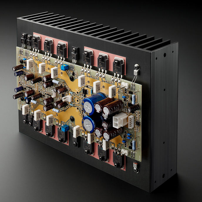 Интегральный усилитель Accuphase E-800 Gold - рис.11