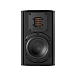 Полочная акустика Piega Ace 30 Black - рис.1