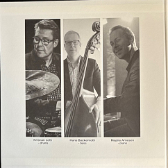 Виниловая пластинка Scandinavian Jazz Trio - Bossa Beguine (Audiophile, Hyper Magnum Sound) - 2LP