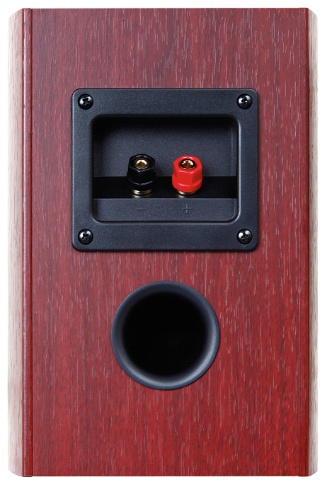 Полочная акустика TEAC LS-301 cherry - рис.3