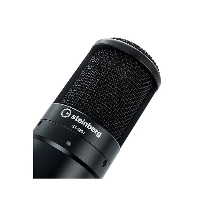 Аудиоинтерфейс Steinberg UR22C Recording Pack - рис.9