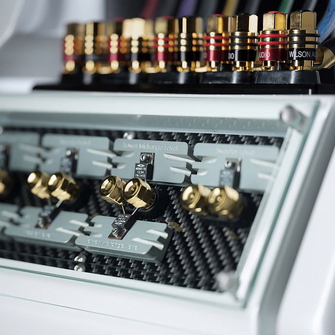 Напольная акустика Wilson Audio Chronosonic XVX Galaxy Gray - рис.7