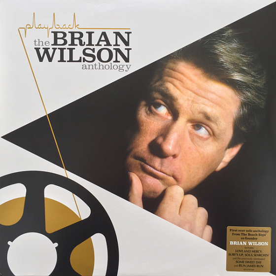 Пластинка Brian Wilson - Playback: The Brian Wilson Anthology - рис.0