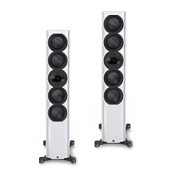 Напольная акустика Perlisten Audio R7t Piano White