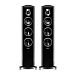 Напольная акустика Sonus Faber Sonetto III black - рис.0