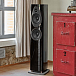 Напольная акустика Sonus Faber Sonetto III G2 Piano Black - рис.2