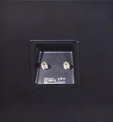 Сабвуфер Bowers & Wilkins CT SW10