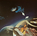 Виниловая пластинка Kansas - Leftoverture Live & Beyond - рис.3