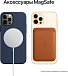 Телефон Apple iPhone 12 Pro Max 128GB Gold - рис.7