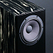 Полочная акустика Davis Acoustics MV One Master Black Piano - рис.1