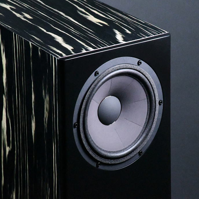 Полочная акустика Davis Acoustics MV One Master Black Piano - рис.1