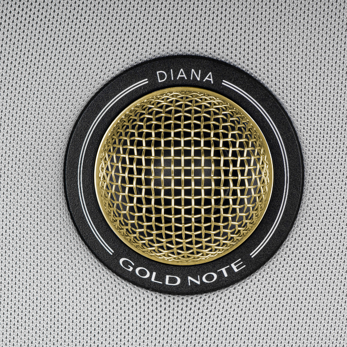 Полочная акустика Gold Note Diana ll Silver Gold - рис.4