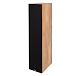 Напольная акустика Davis Acoustics Balthus 90 Light Oak - рис.5