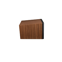 Центральный канал Martin Logan Motion C10 Walnut