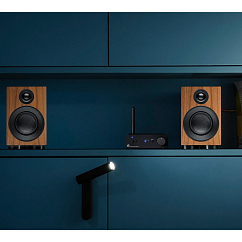 Полочная акустика Pro-Ject Speaker Box 3 E Carbon Walnut