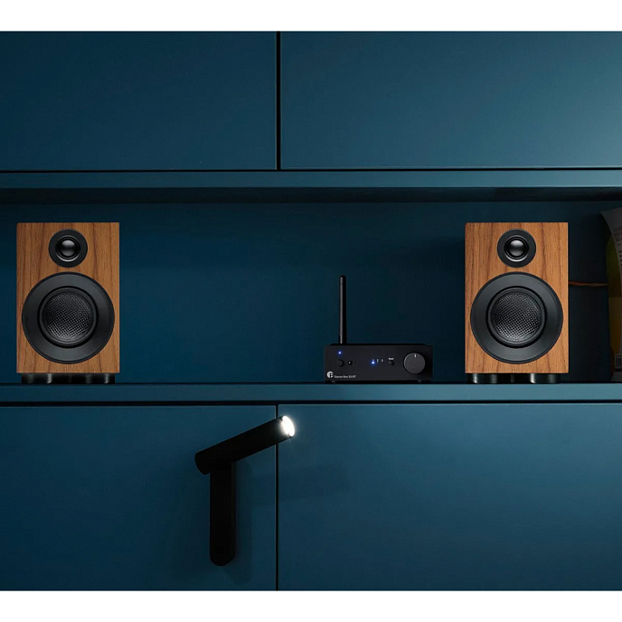 Полочная акустика Pro-Ject Speaker Box 3 E Carbon Walnut - рис.3