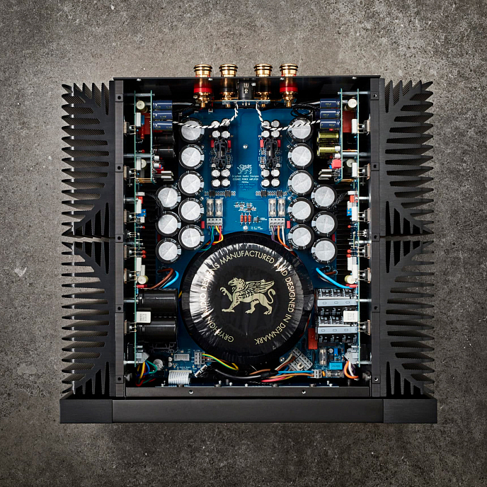 Усилитель мощности Gryphon Essence Mono Black - рис.4