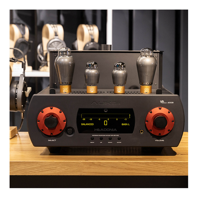 Усилитель для наушников Auris Headonia 300B Black - рис.7