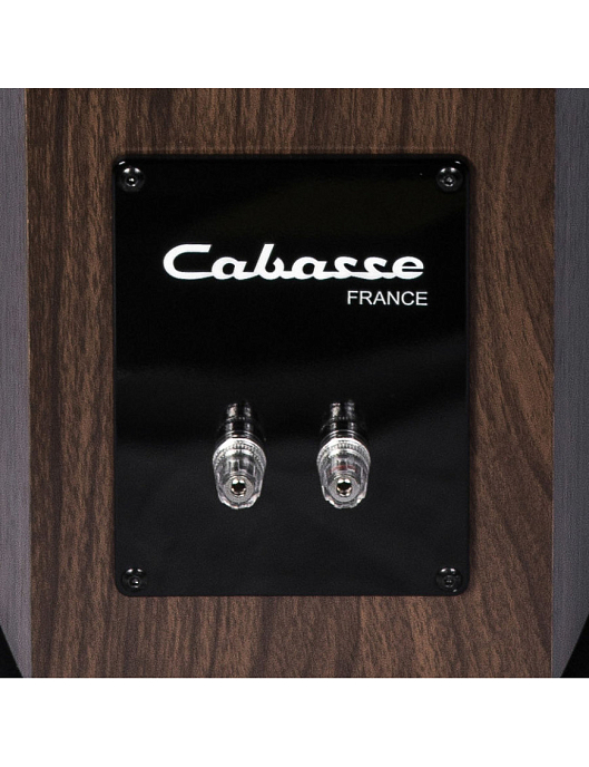 Напольная акустика Cabasse Jersey MC170 Brushed Black - рис.1