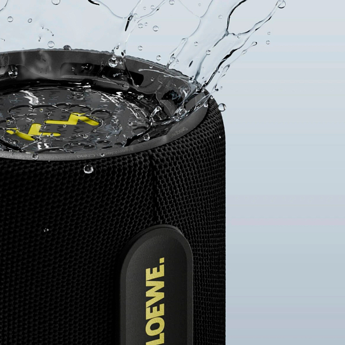 Портативная колонка Loewe We. HEAR Pro Black - рис.5