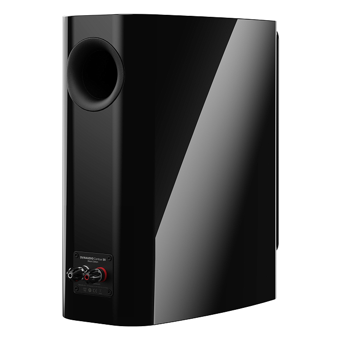 Полочная акустика Dynaudio Contour 20 Black Edition - рис.6
