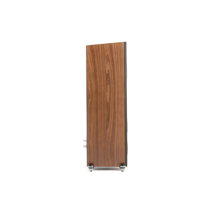Напольная акустика Martin Logan Motion F10 Walnut - рис.5