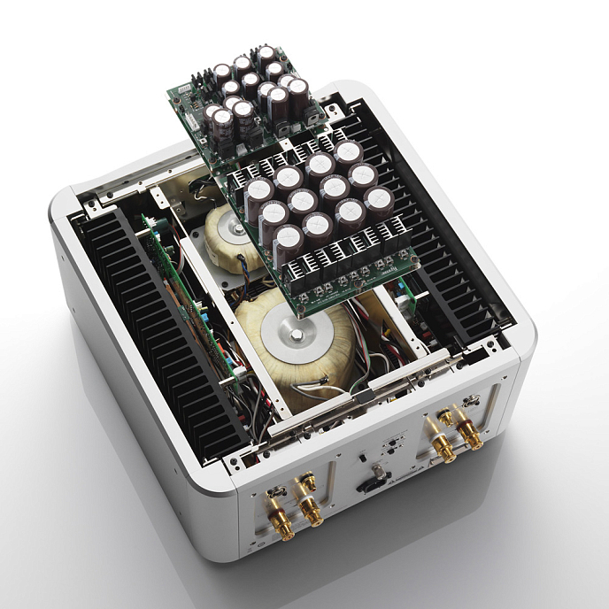 Усилитель мощности Esoteric Grandioso S1 silver - рис.4