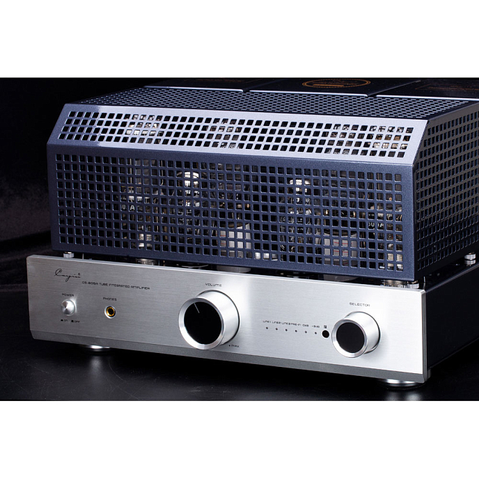 Интегральный усилитель Cayin CS-805A Silver - рис.10