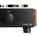 Интегральный усилитель Mastersound Evolution 845 Black Wood - рис.4