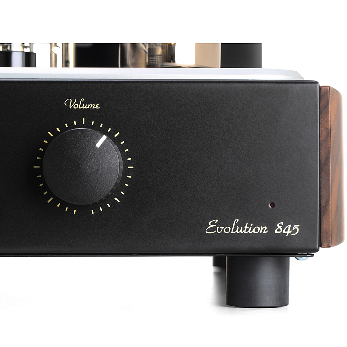 Интегральный усилитель Mastersound Evolution 845 Black Wood - рис.4