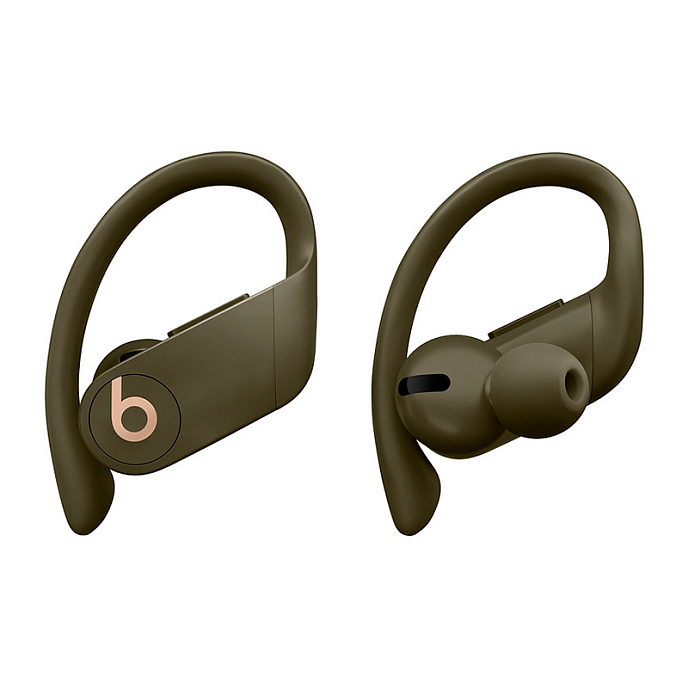 Беспроводные наушники Beats Powerbeats Pro Moss - рис.0
