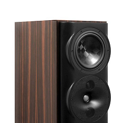 Напольная акустика Perlisten Audio S5t Special Edition Ebony High Gloss